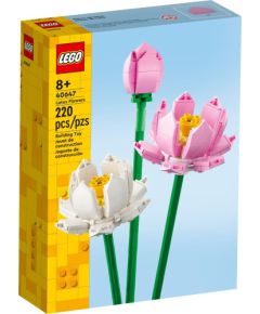 LEGO Exclusive Kwiaty lotosu (40647)