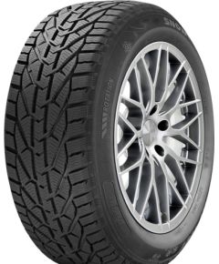 Riken Snow 215/60R17 96H