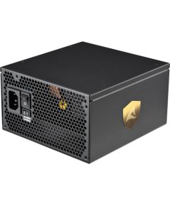 Sharkoon REBEL P30 Gold 1000W ATX3.0, PC power supply (black, 4x PCIe, cable management, 1000 watts)