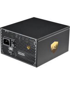 Sharkoon REBEL P30 Gold 850W ATX3.0, PC power supply (black, 1x 12VHPWR, 4x PCIe, cable management, 850 watts)