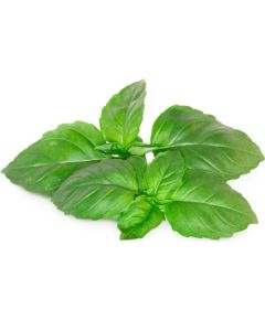 Click & Grow Smart Garden refill Marseille Basil 3pcs