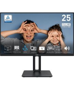 Monitors MSI PRO MP251P