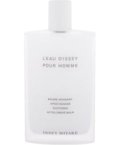 Issey Miyake L´Eau D´Issey Pour Homme 100ml