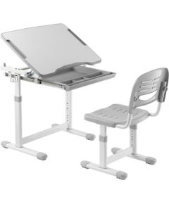 Hismart Screw-Locking Height Adjustable Kids Desk and Full-Backrest Chair Set