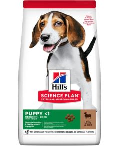 Hill's 52742025735 dogs dry food 14 kg Puppy Lamb, Rice