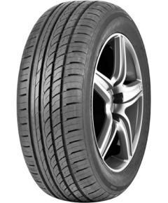 Double Coin DC99 205/55R16 91V