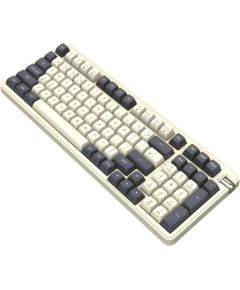 Darkflash DF98 Mocha Kailh Switches Mechanical Keyboard