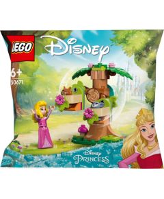 LEGO Disney Leśny plac zabaw Aurory (30671)