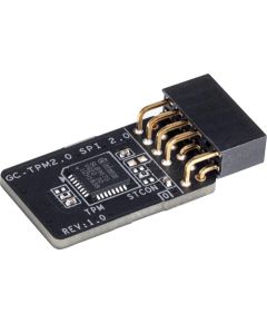 MB ACC TPM MODULE/GC-TPM2.0 SPI 2.0 GIGABYTE