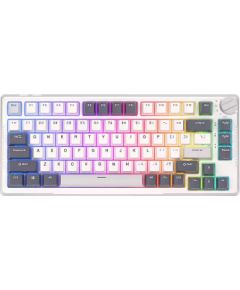 Royal Kludge RKH81  Kлавиатура RGB