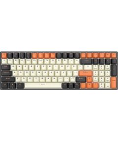 Mechanical keyboard Royal Kludge RK100 RGB, brown switch (black-orange)