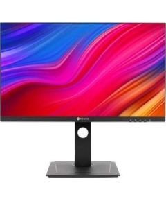 Monitor AG Neovo DW2401