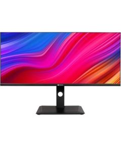 Monitor AG Neovo DW3401