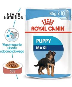 Royal Canin Royal Canin Maxi Puppy karma mokra dla szczeniąt, od 2 do 15 miesiąca życia, ras dużych saszetka 140g