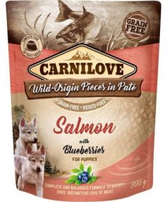 Carnilove Brit Carnilove Salmon Blueberries Łosoś Jagody Bezzbożowa dla Szczeniąt 300 g