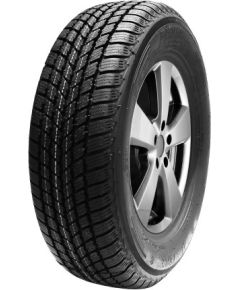 Mastersteel Winter + 175/65R14 82H