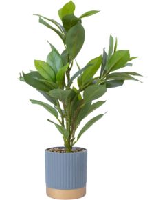 Artificial plant GREENLAND H40cm