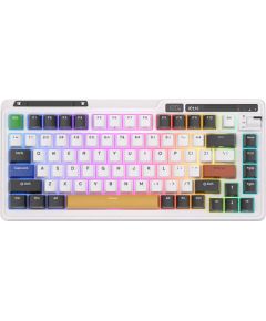 Wireless mechanical keyboard Royal Kludge KZZI K75 pro RGB, Moment Switch (black and white)