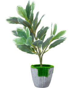 Artificial plant GREENLAND H27cm