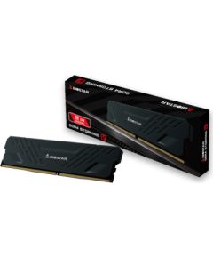 Pamięć DDR4 Biostar 8GB 3200MHz Heatsink Storming Vseries