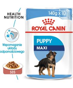 Royal Canin Karma Shn Maxi puppy w sosie 10x140 g