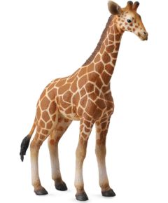 Collecta Reticulated giraffe calf (L) 88535