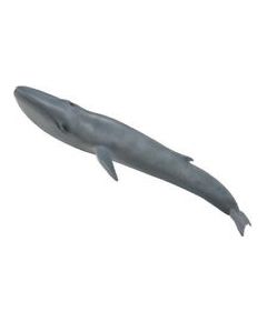 COLLECTA Blue whale (XL), 88834