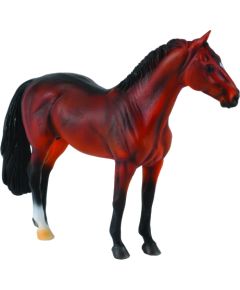 COLLECTA (XL)  Hanoveras ērzelis bērs 88