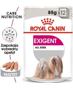 Royal Canin ROYAL CANIN CCN Exigent 12x85g karma mokra - pasztet dla psów dorosłych, wybrednych