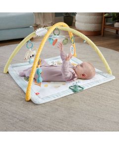 Mattel Fisher-Price® Simply Senses Newborn Gym (HRB15)