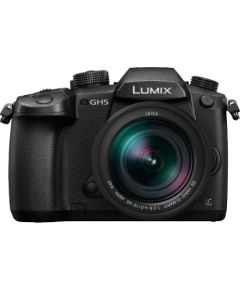 Panasonic Lumix DC-GH5 + 12-60 мм f/2.8-4.0 Кит