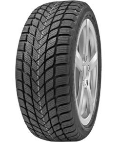 Delinte Winter WD6 225/50R17 98H