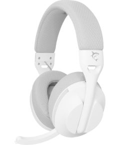 White Shark WGH-2441 Falcon White/Grey