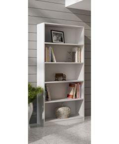 Top E Shop Topeshop R80 BIEL office bookcase