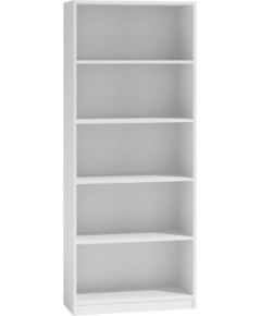 Top E Shop Topeshop R60 BIEL office bookcase