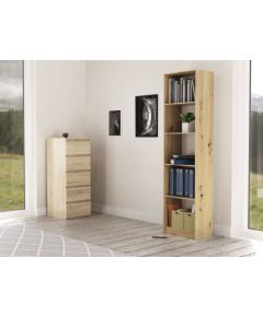 Top E Shop Topeshop R50 ARTISAN office bookcase