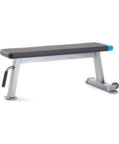 Proform Carbon Strength PFBE09620 horizontal bench