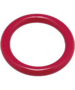 Diving ring FASHY 4204 40 red