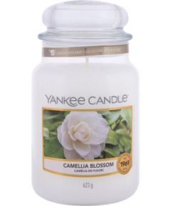 Yankee Candle Camellia Blossom 623g