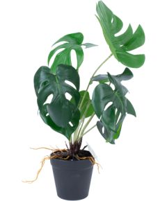 Artificial plant GREENLAND H40cm, Monstera