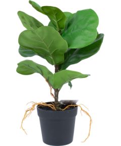 Artificial plant GREENLAND H35cm, Clusia rosea