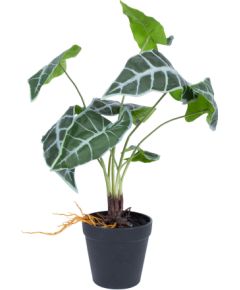 Artificial plant GREENLAND H40cm, Alocasia