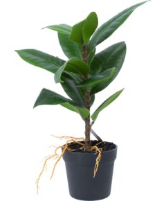 Artificial plant GREENLAND H35cm, Rubber fig