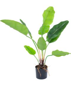 Artificial plant GREENLAND H78cm, Strelitzia