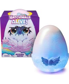 Spin Master Hatchimals: Alive Mystery Hatch - Draggle (6069282)