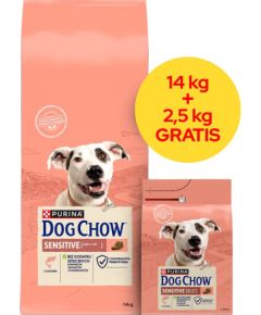 PURINA Dog Chow Sensitive Salmon - dry dog food - 14 + 2,5kg