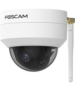 Foscam D4Z, surveillance camera