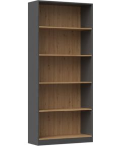 Top E Shop Topeshop R80 ANT/ART office bookcase