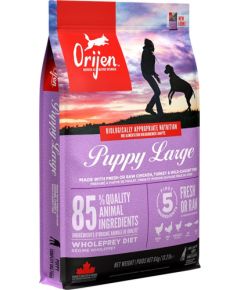 Orijen Puppy Large 6 kg Chicken, Fish, Turkey