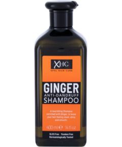 Xpel Ginger 400ml